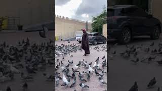 UAE National Day Arabic song viral [upl. by Weyermann]