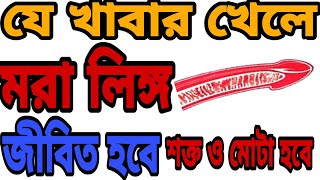 যে খাবার খেলে মরা লিঙ্গ জীবিত হবে। Jouno Samasya Samadhan lingo boro mota o sokto korar upay lingo [upl. by Aiuqes]