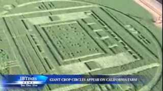 Giant Crop Circles Appear on California Farm [upl. by Emelin]