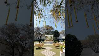 Wedding Decorators in Jaipur  Haldi Decor  Wedding Planner in Jaipur wedding weddingservice [upl. by Loni]