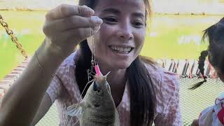 Pond fishingfishing laotravel [upl. by Netsyrc448]