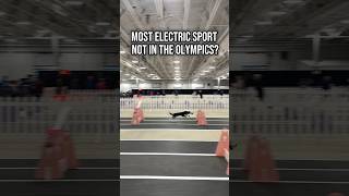 Electric Sport flyball dogs dogsports [upl. by Lorry]