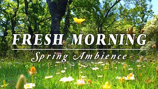 🌿🌞Begin Your Day with the POSITIVE ENERGY of Healing Spring Sounds🌿Fresh Morning Ambience Meditation [upl. by Irmgard795]