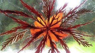 DIY Fall Decor Autumn Leaves Stained Glass or Sun Catcher Craft Easy [upl. by Noffets]