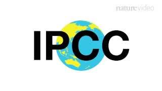 25 years of the IPCC  Nature Video [upl. by Enattirb]