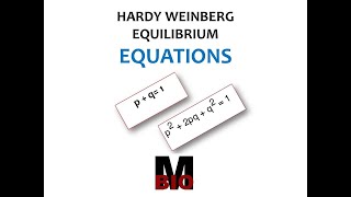 HARDY WEINBERG EQUATION [upl. by Piderit]