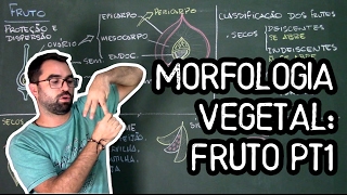 Organologia do Fruto Morfologia pt1  Aula 20 Botânica Prof Guilherme [upl. by Enirod104]