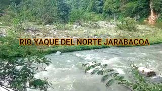 RIO YAQUE DEL NORTE JARABACOA [upl. by Yreneh]