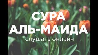 Сура в которой всем верующим был обещан РАЙ Сура АльМаида Слушать Коран ОНЛАЙН [upl. by Eisler]