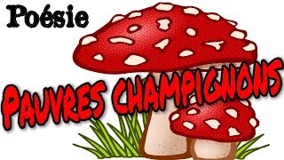 Poésie 🍄 Pauvres champignons de Pascale Pautrat 🍄 [upl. by Bunker]