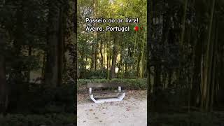 Aveiro Portugal 🇵🇹 passeionoparque passeio aveiro aveiroportugal portugal parque [upl. by Nedah]