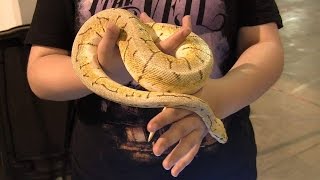 Tips for taking care of a pet snake [upl. by Elisabet]