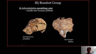 8 Karoo biostratigraphy part2 [upl. by Jaquiss]