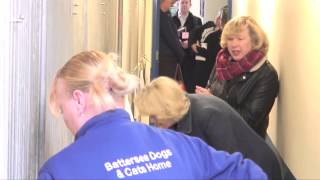 The Duchess of Cornwall visits Battersea Dogs amp Cats Home [upl. by Teddman839]