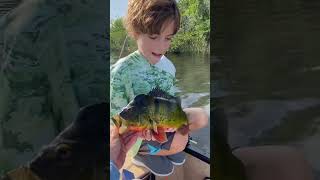 Peacock bass fishing Fort Lauderdale Everglades florida [upl. by Past116]