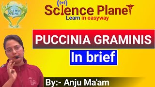 Puccinia graminis tritici Wheat Rust in brief By Anju Maam SCIENCE PLANET BIOLOGY [upl. by Atinaw]