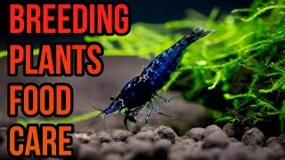 Natural Neocaridina Shrimp Tank Tour 🦐  Beginner Tips amp Channel Intro 🦐🦐🦐 [upl. by Odnolor573]