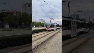 OLOMOUC  City tram 🚊 near main train station Hlavní nádraží  4K trams [upl. by Ferrel]