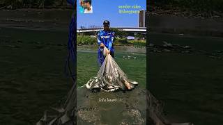 🐟10 Fishing Tips You NEED to Knowfishing fishfishingaddict first fishingvideofishcurry shorts [upl. by Ettelegna]