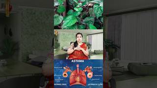 ஆஸ்துமா பிரச்சனைக்கு தற்போதைய தீர்வு இதுதான் 😲  Asthma [upl. by Aicilaana]