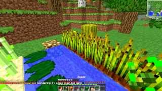 Herbalism MCMMO Spotlight 172 McMMO Tutorial Herbalism Grinder and benefits of Herbalism [upl. by Einaoj]