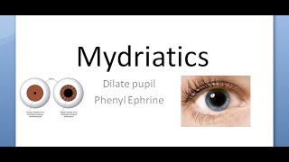 Ophthalmology 580 Mydriatic Dilate Pupil PhenylEphrine Tropicamide Mydriasis Eye drop fundoscopy [upl. by Evslin]