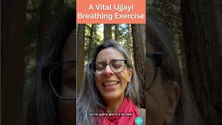 A Vital Ujjayi Breathing Exercise [upl. by Nilats]