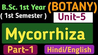 Mycorrhiza in HindiTypes of MycorrhizaVAMVesicular Arbuscular MycorrhizaBSc 1 Year 1st Semester [upl. by Aillimat]