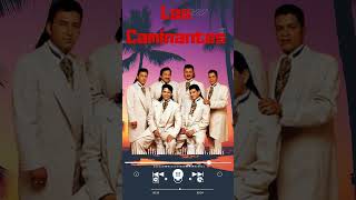 Amor Sin Palabras  Los Caminantes Mix 2024 shorts loscaminates musica romanticas concierto [upl. by Yr]