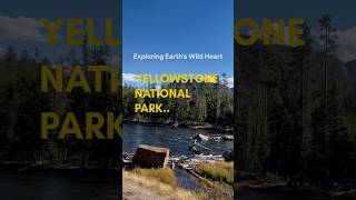 Exploring Earth’s Wild Heart  Yellowstone National Park shorts [upl. by Eneluqcaj]