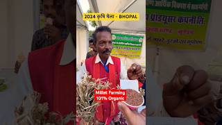 Millet Farmer from Jabalpur at Krishi Mela Bhopal 2024  Millet Farming Season krishimela millets [upl. by Nelra]