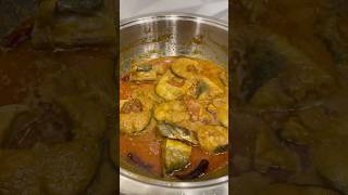 Masala fish salan recipe  traditional good trending [upl. by Skvorak304]