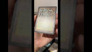 EDH STAPLE Gaea’s Cradle CONDITION amp VALUE magicthegathering mtg tradingcardgame cardgame edh [upl. by Ahsitam]