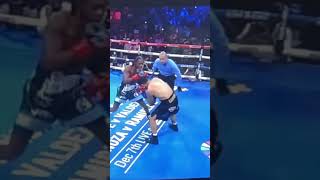 UpCloseSloMo Keyshawn Davis final combo sends both Lemos amp ref flying boxing boxeo [upl. by Charmane]