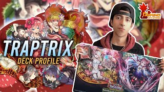 Deck Profile TRAPTRIX [upl. by Nalhsa]