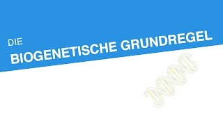 DIE BIOGENETISCHE GRUNDREGEL  Biologie  Genetik und Entwicklungsbiologie [upl. by Analah878]