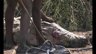 This Is Africa S5 Ep7 Pre Historic River Monsters [upl. by Bax]