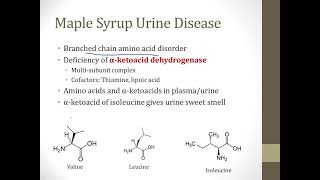 Inborn Errors of Metabolism [upl. by Normie398]