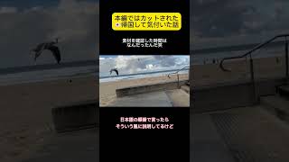 【オーストラリア生活2年目】この人なんなんだって編集者がなったNG素材😂言いたいことは分かるけど…（風も強いし）オーストラリア留学 留学生の日常 海外大学生 ゴールドコースト日本帰国 [upl. by Aokek]