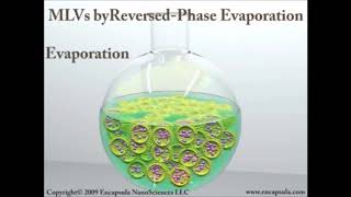 liposomes Introduction and Preparation liposome viral youtubeshorts [upl. by Adiarf]