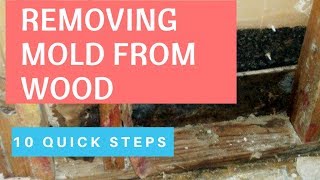 Proven Ways To Remove Mold From Wood How To Remove Mold Inside Walls [upl. by Aicilak]