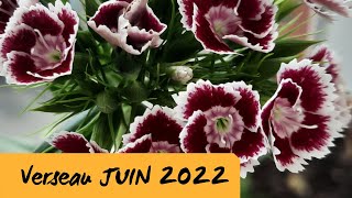 VerseauJuin 2022Quelque chose à fêter [upl. by Ahsinotna]