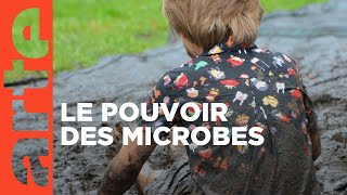 Vive les microbes   ARTE [upl. by Shem]