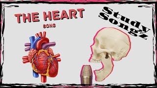 Heart Anatomy Song  Study Songz  Heart Blood Flow and Conduction [upl. by Corri715]