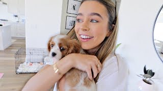 SURPRISING MY GIRLFRIEND WITH A NEW PUPPY [upl. by Nihs]