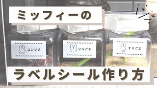 【ミッフィーのラベルシール作り方】ピータッチキューブで調味料ラベルを作成！ミッフィーのイラストも無料配布！キッチン収納テプラ｜調味料シール [upl. by Marthe412]