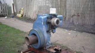 RA Lister LT1 Diesel Stationary Engine 1984 [upl. by Hazeefah184]