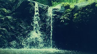 Twin Waterfall Paradise 🌊  Peaceful Double Waterfall Sounds [upl. by Annasoh]