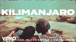 Tiwa Savage Black Sherif Young Jonn  Kilimanjaro Official Lyric Video [upl. by Zulch330]