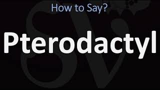 How to Pronounce Pterodactyl CORRECTLY [upl. by Bergmans907]